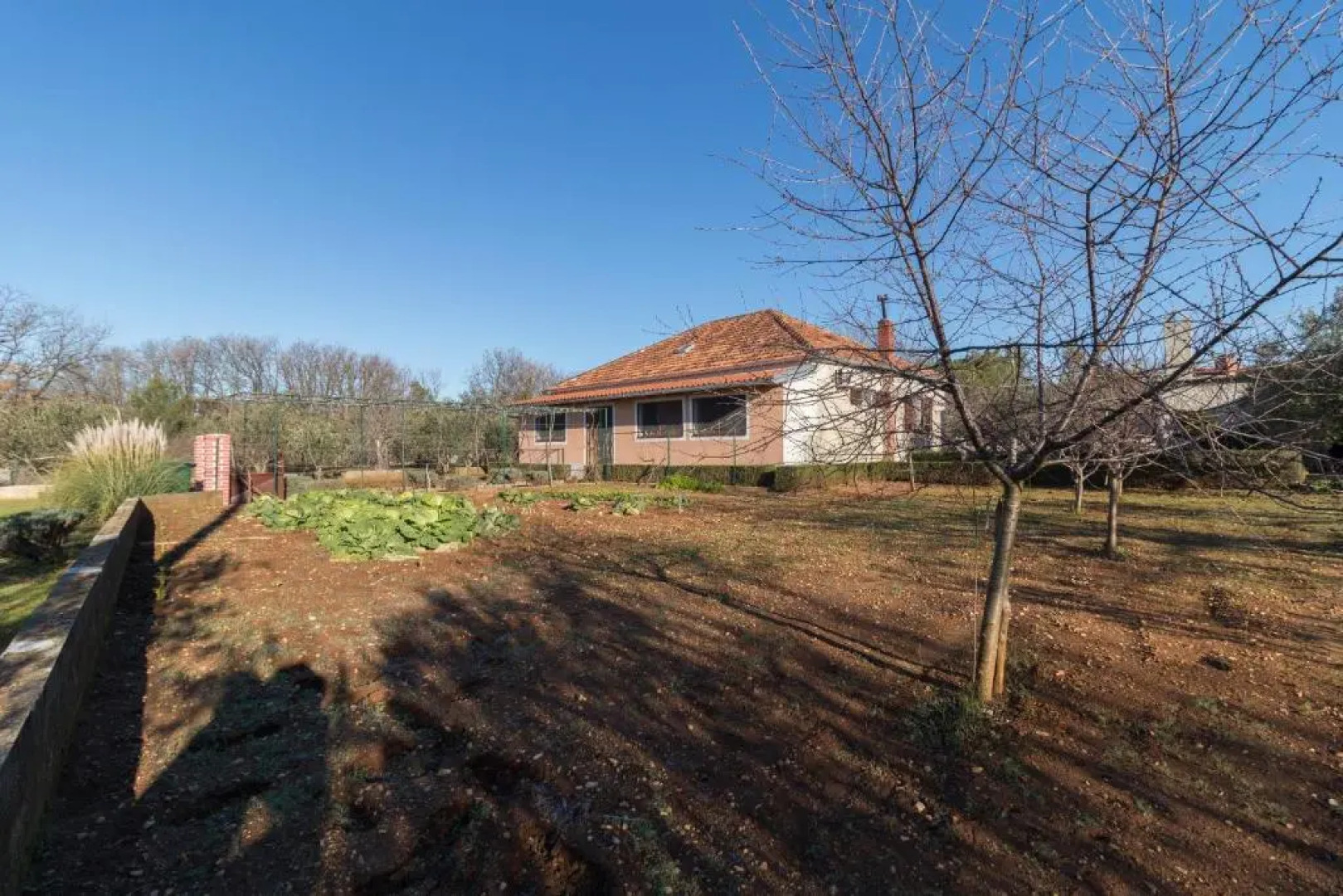 House Jasmin large garden, near Nin