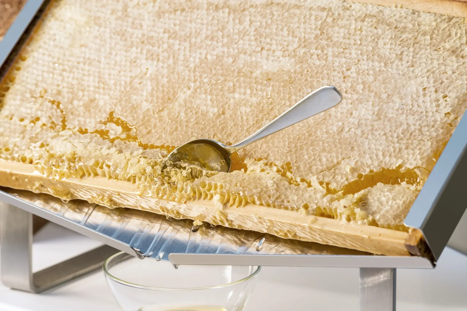 NH Collection München Bavaria