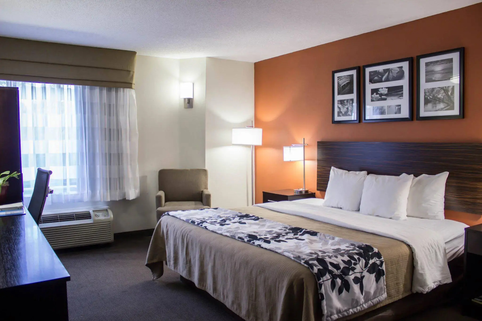 Sleep Inn Wilson near I-95