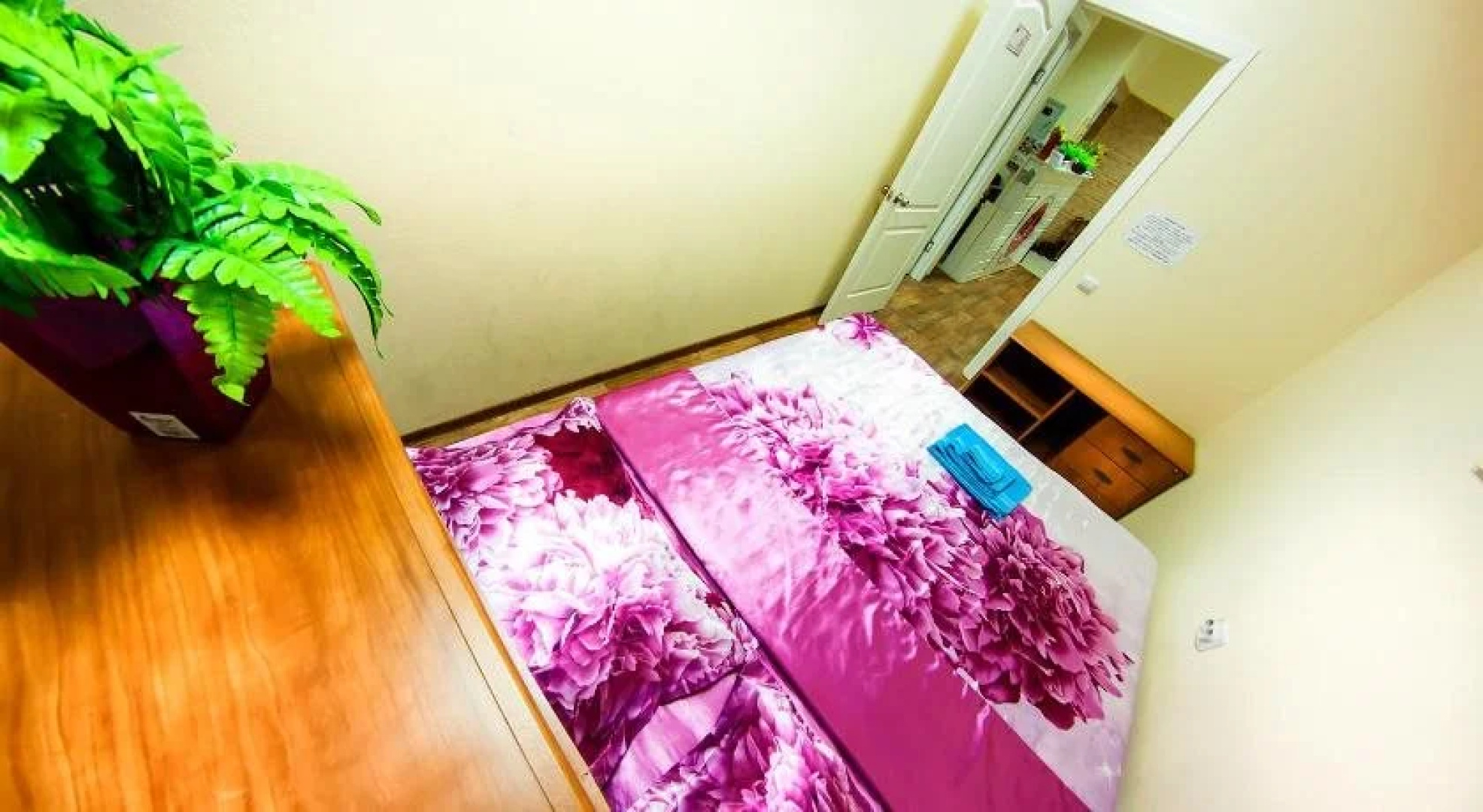 Like Hostel