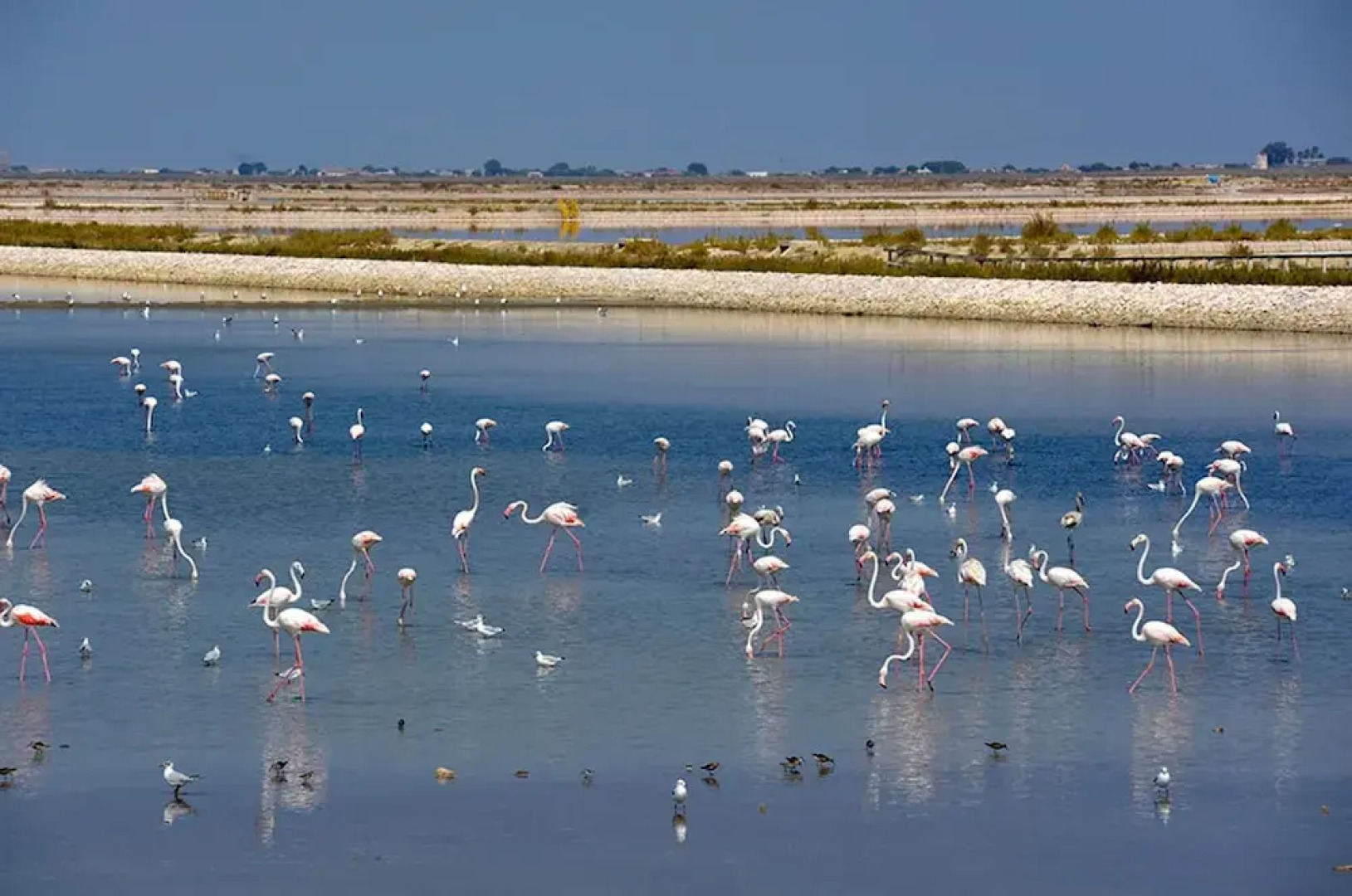 Apartment With one Bedroom in Margherita di Savoia, With Balcony and Wifi - 200 m From the Beach