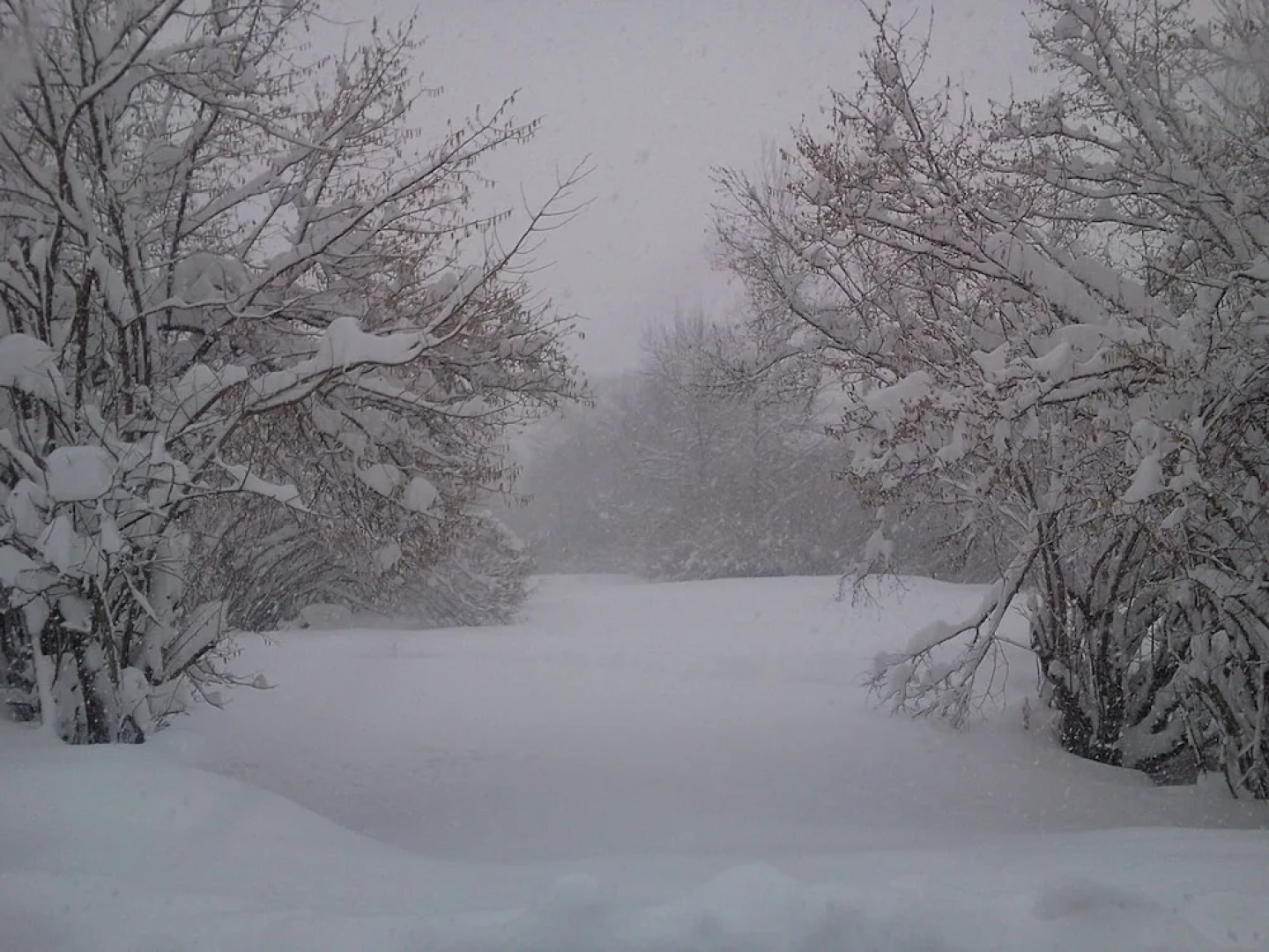 Apartamentos Nevandi