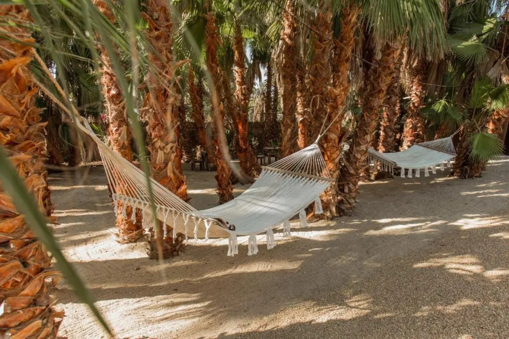 Cien Palmas- Authentic Mexican Casita 1 -Downtown