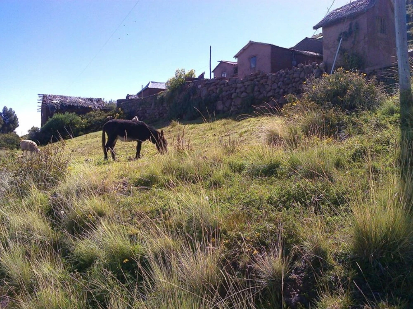 Hospedaje Munay Rosas