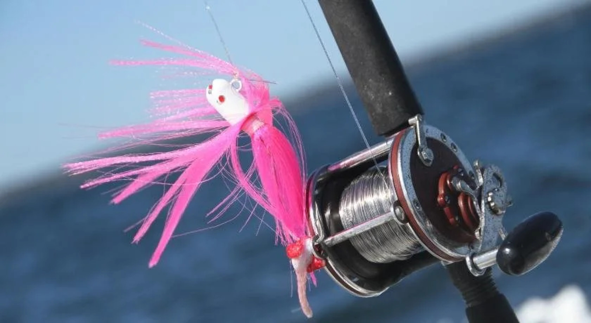 Captain Lawrence Inn