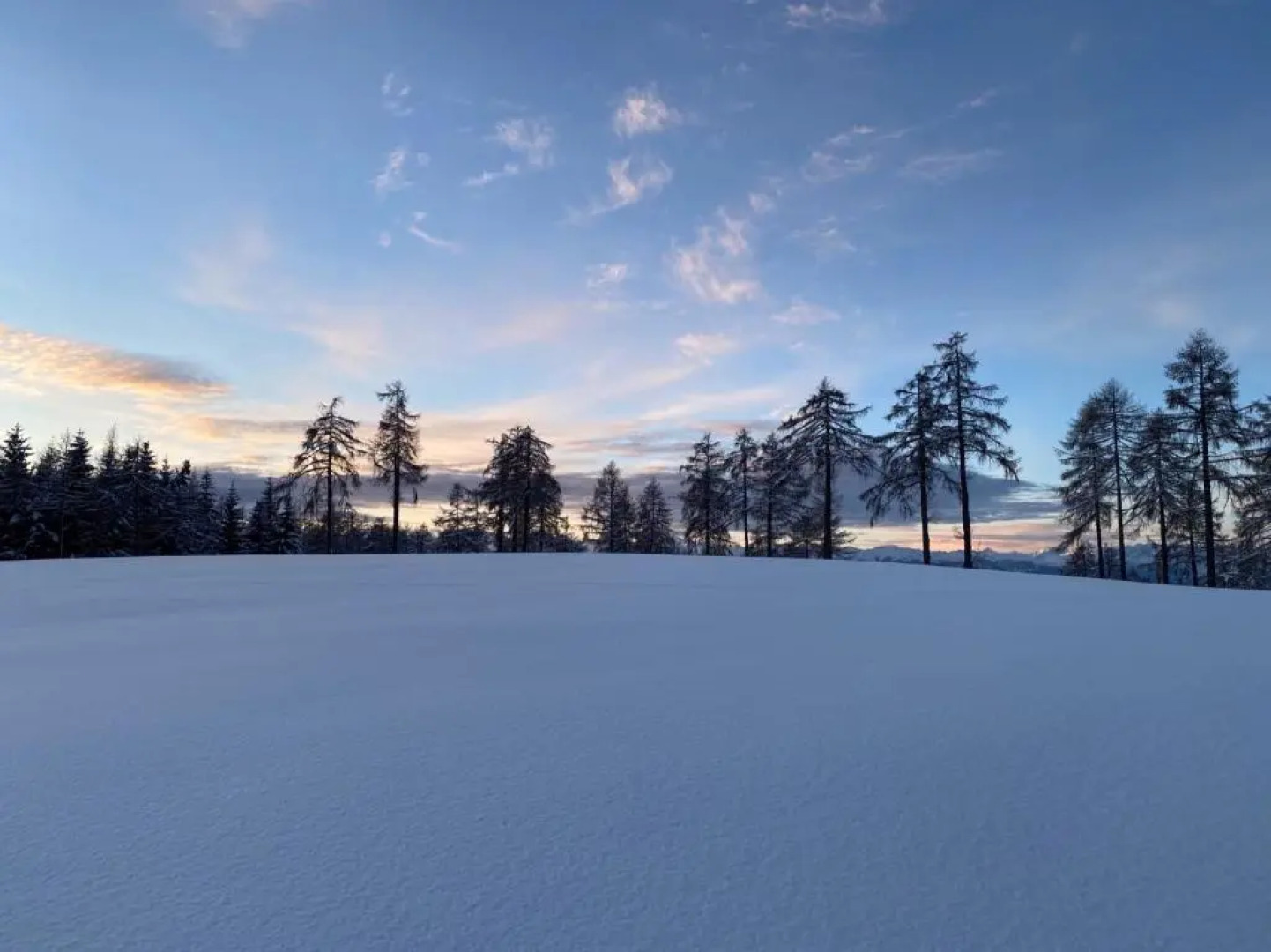 Michlhaus nature and suites