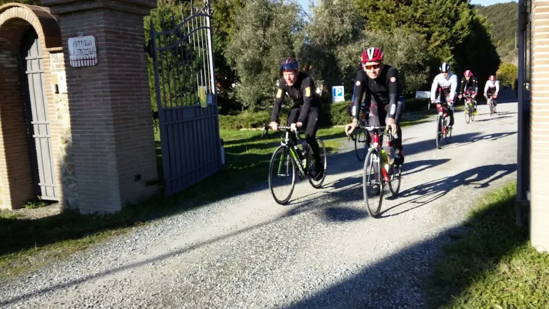 Fattoria La Steccaia