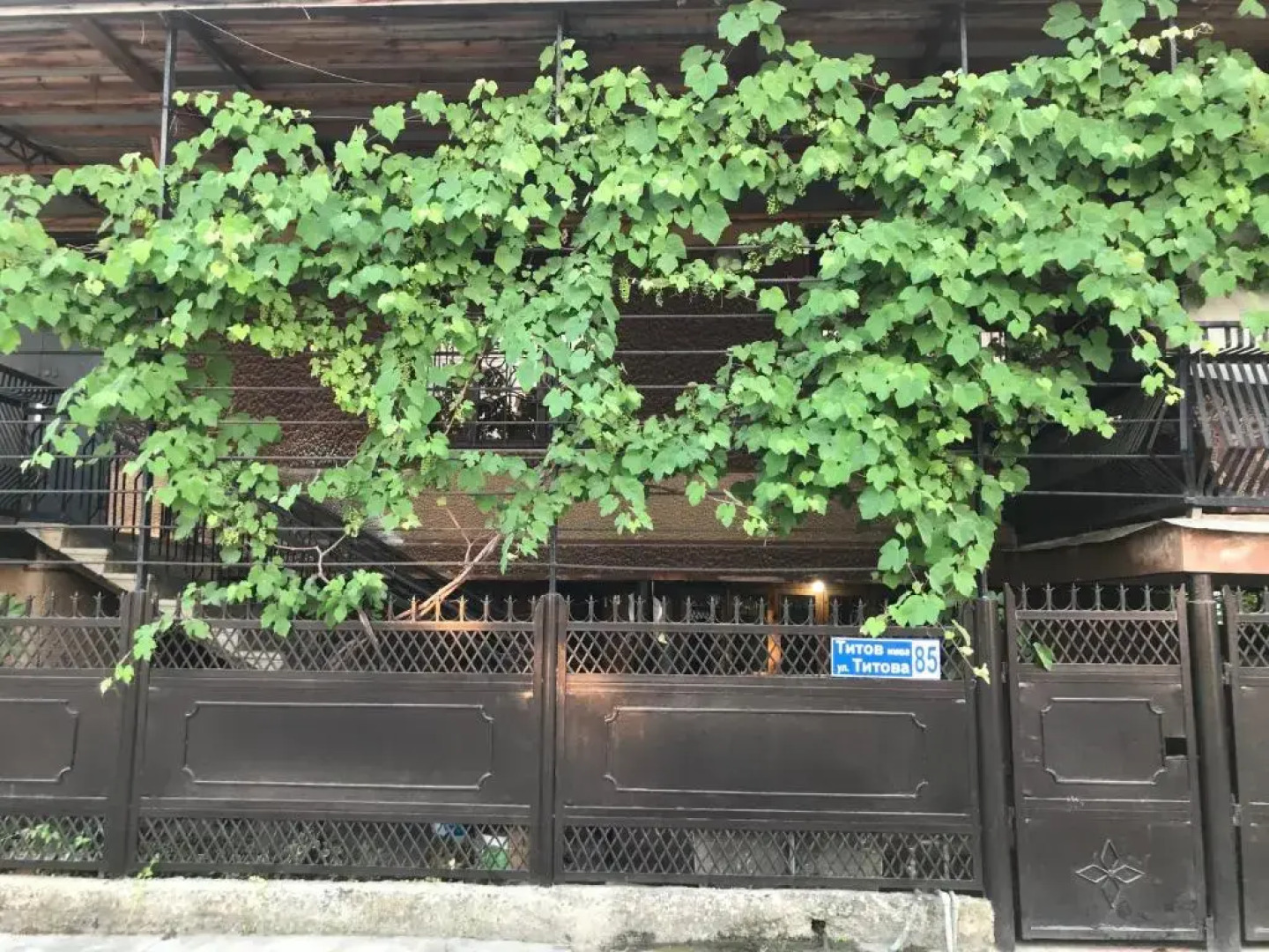 Guest house Mandarin on Titova 85