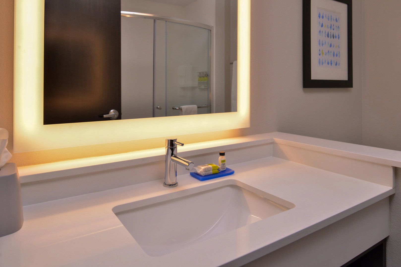 Holiday Inn Express & Suites Olathe West by IHG