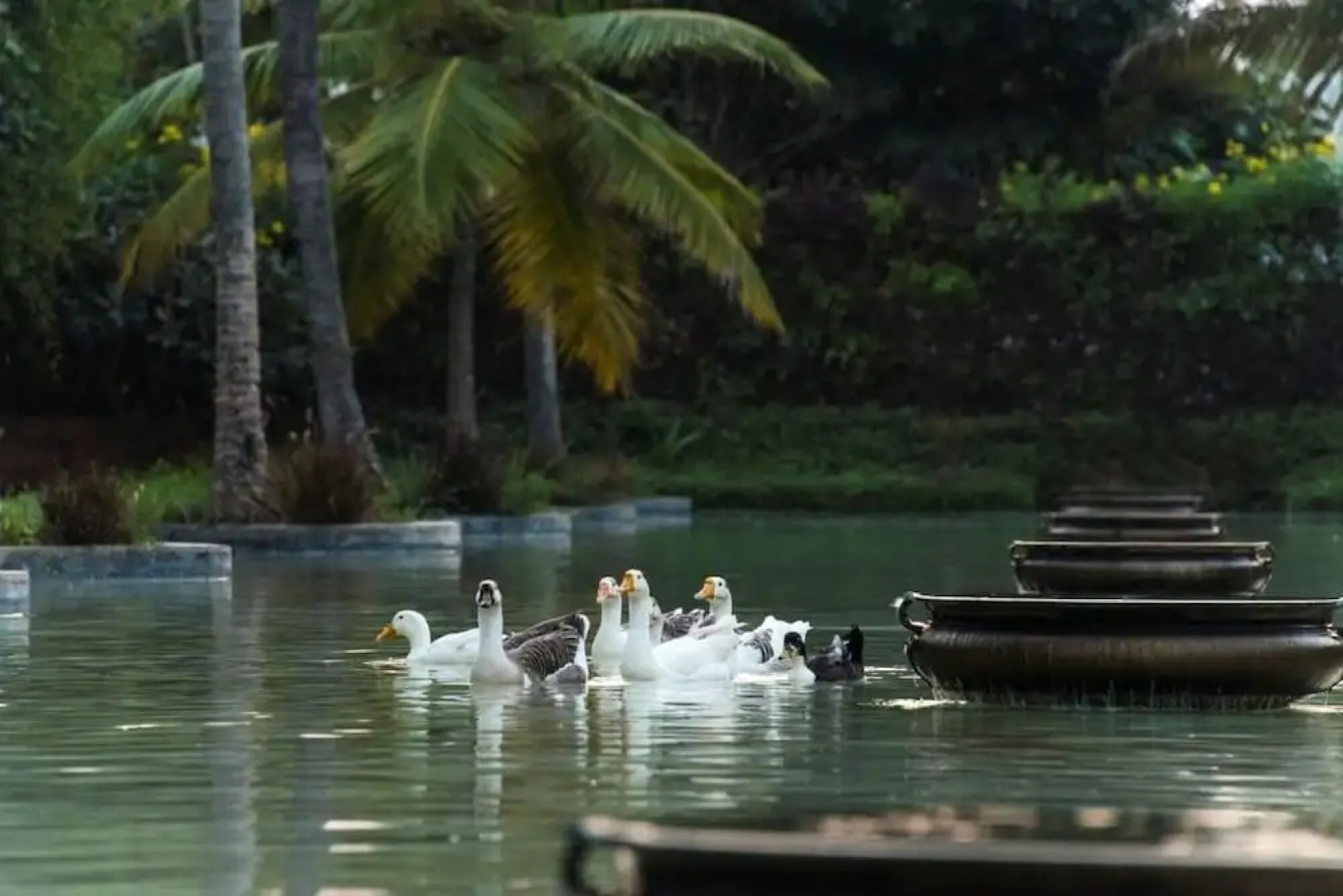 The Windflower Resort & Spa, Mysore