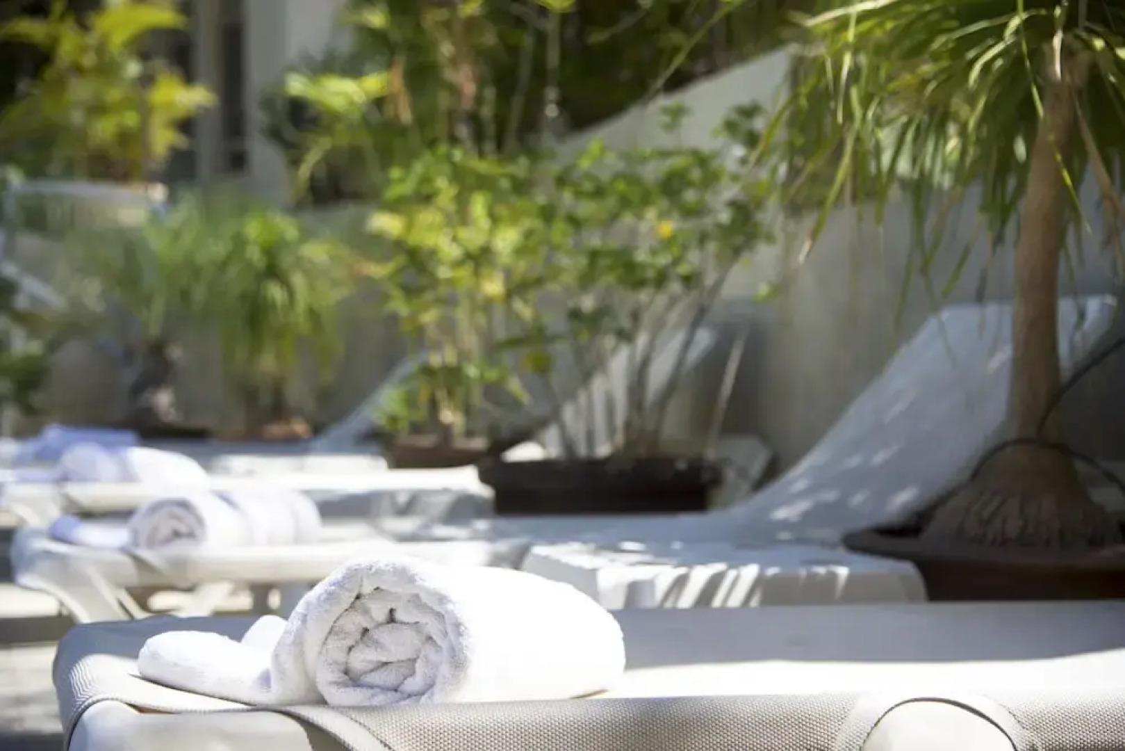 The White Cabins - Home