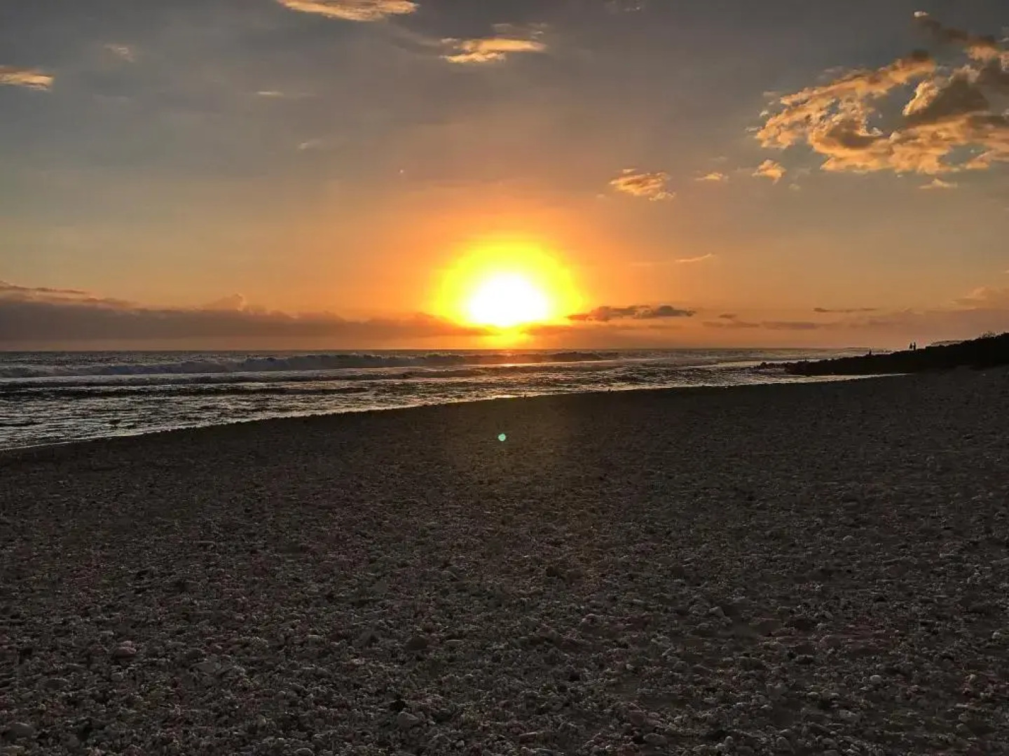 Le Petrel Blanc - Appartement sur la plage de la Souris Blanche