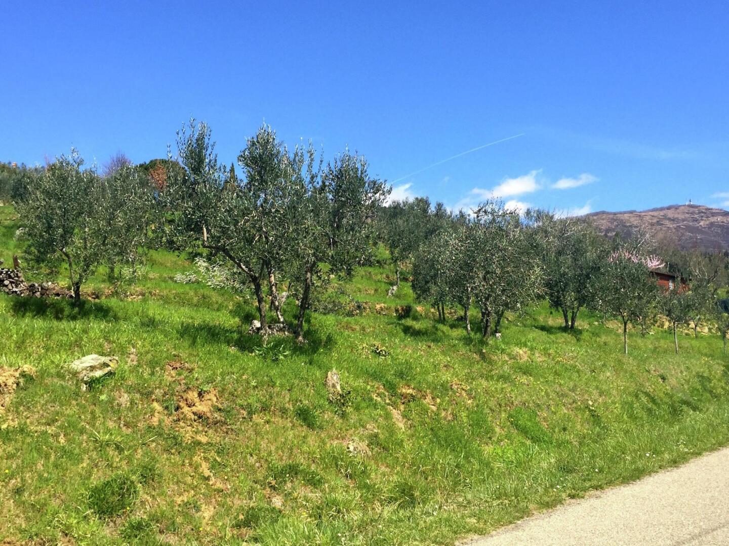 Apartment Tuscany Near Pratomagno Mountain