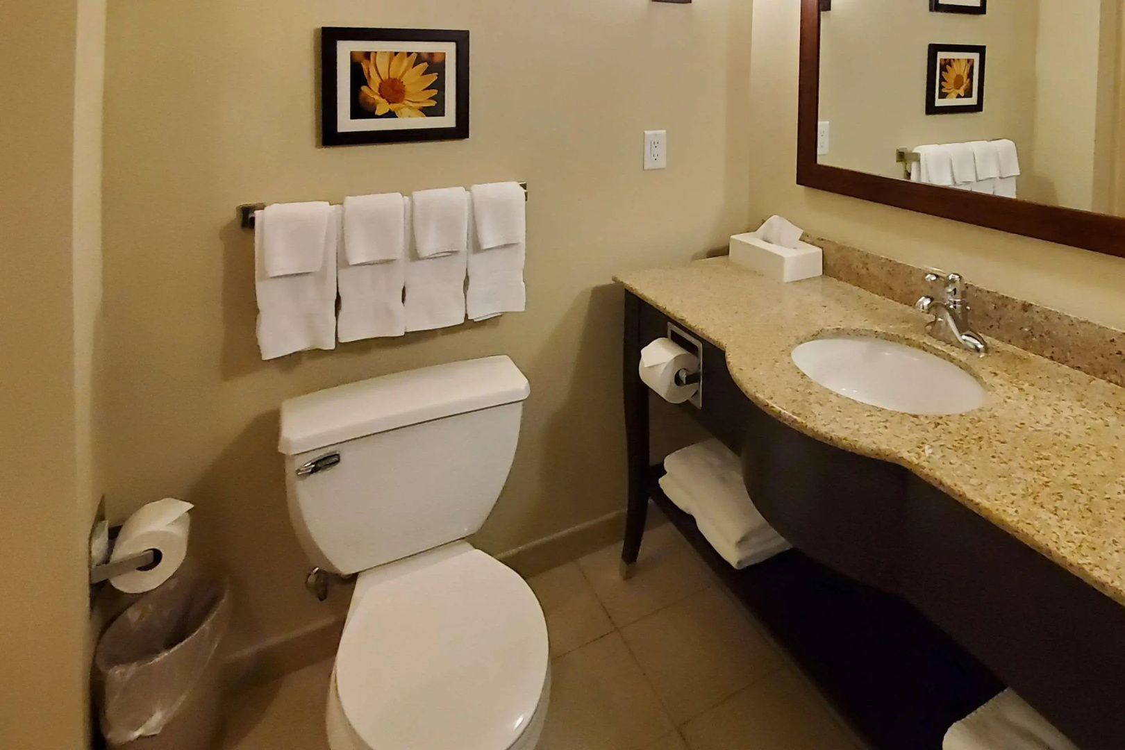 Comfort Suites Helena Airport