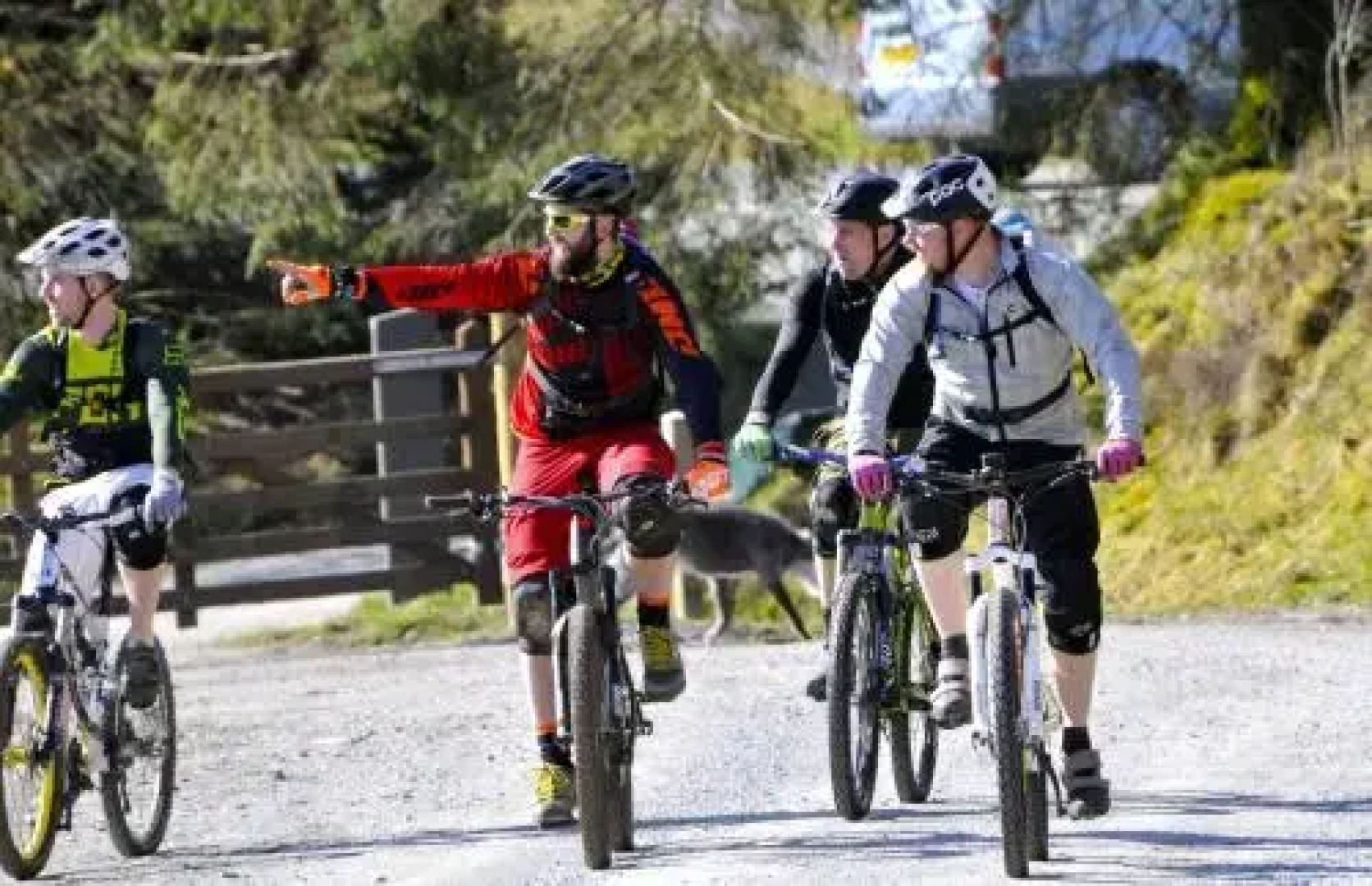 Fron Deg Guest House