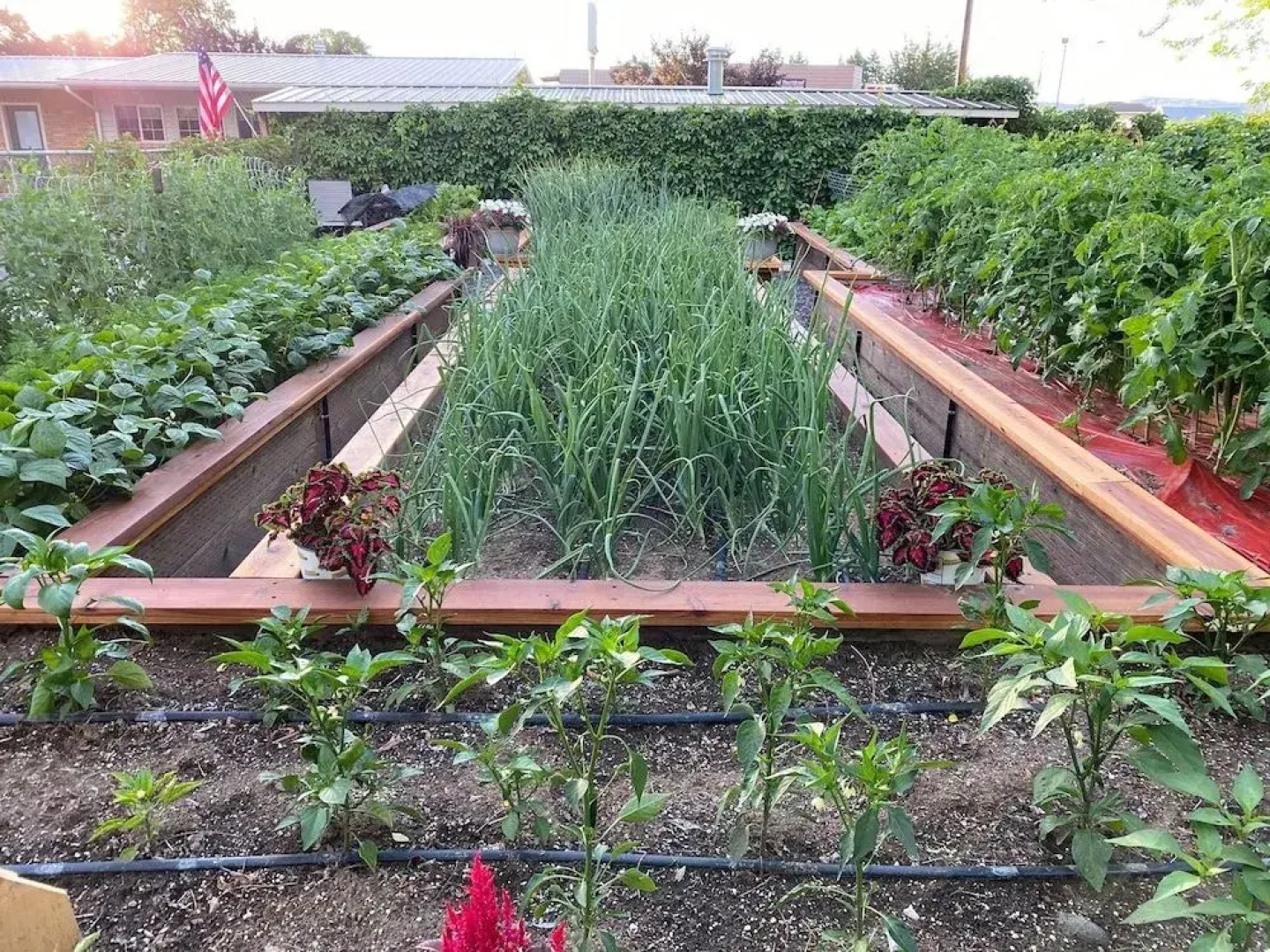 Horseshoe Bend Motel