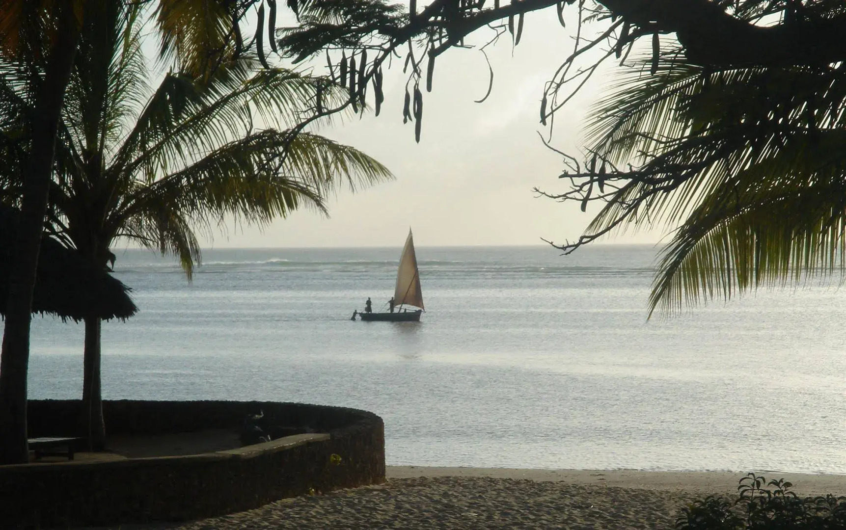 Driftwood Beach Club