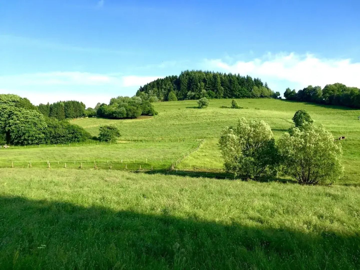 EIFELTRAUM Mediterrana - pure silence