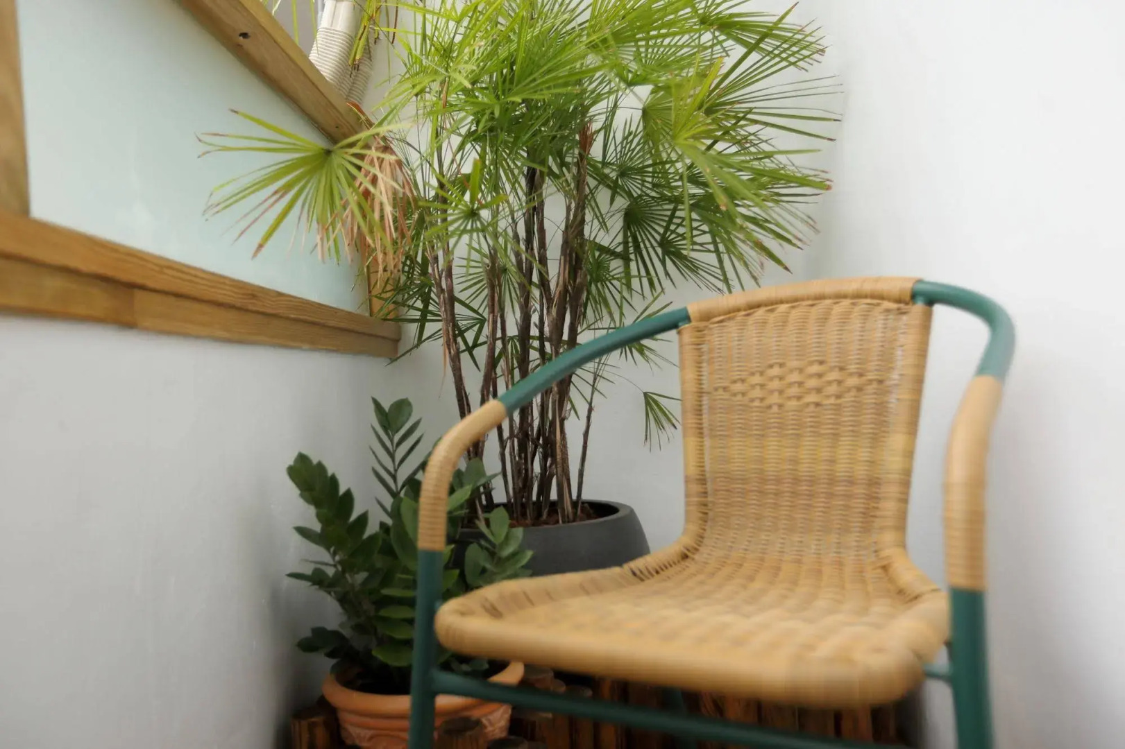 Station 100 Meter B&B