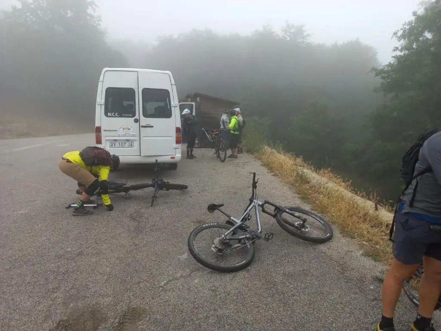 Bb Cesaro Mariolo House