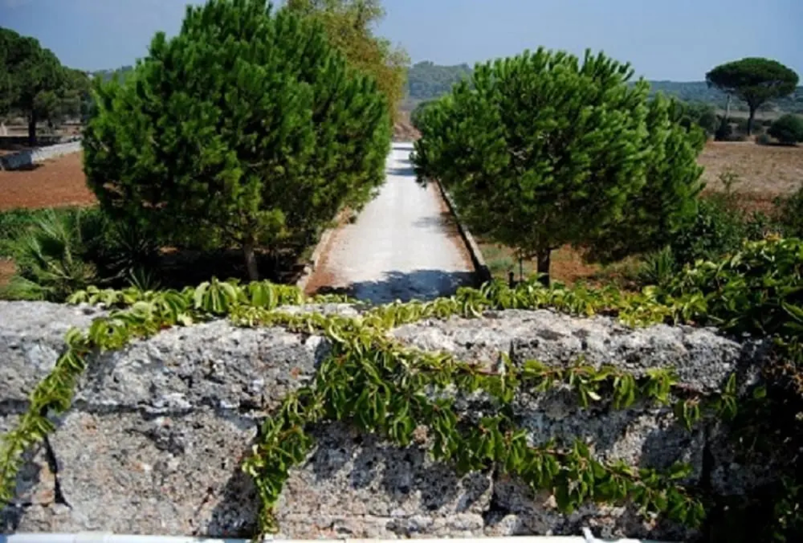 Agriturismo Masseria Palombara