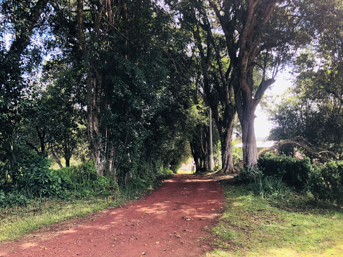 Rancho Coyotepec