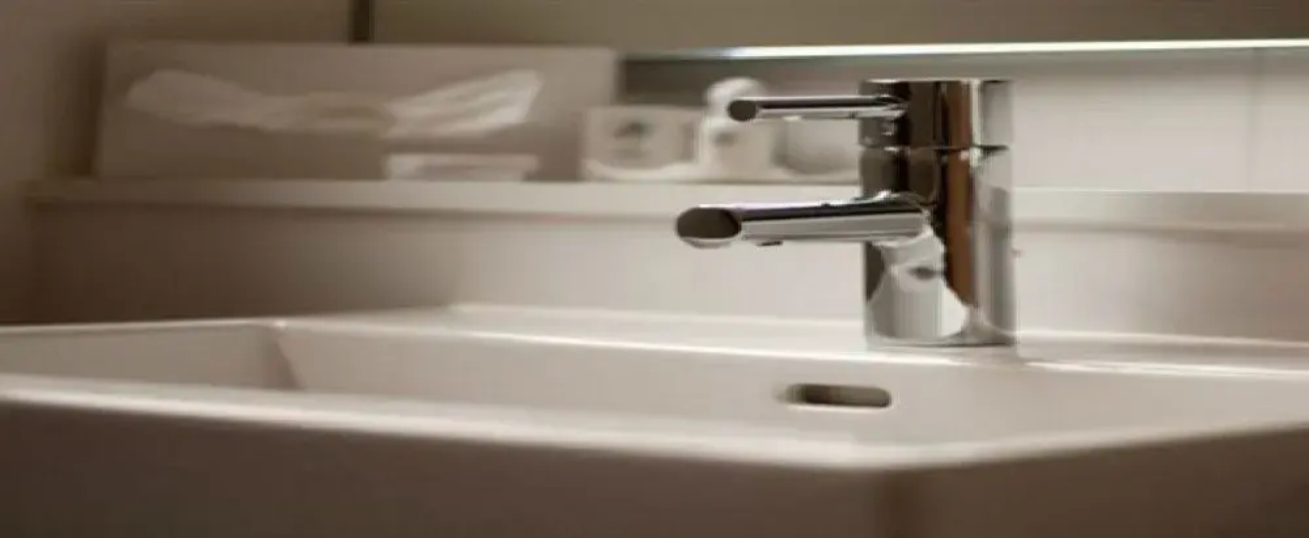 Stadt-Gut-Hotel Wahlster