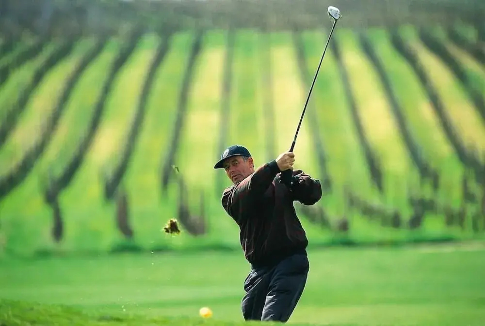 Hotel Deidesheimer Hof