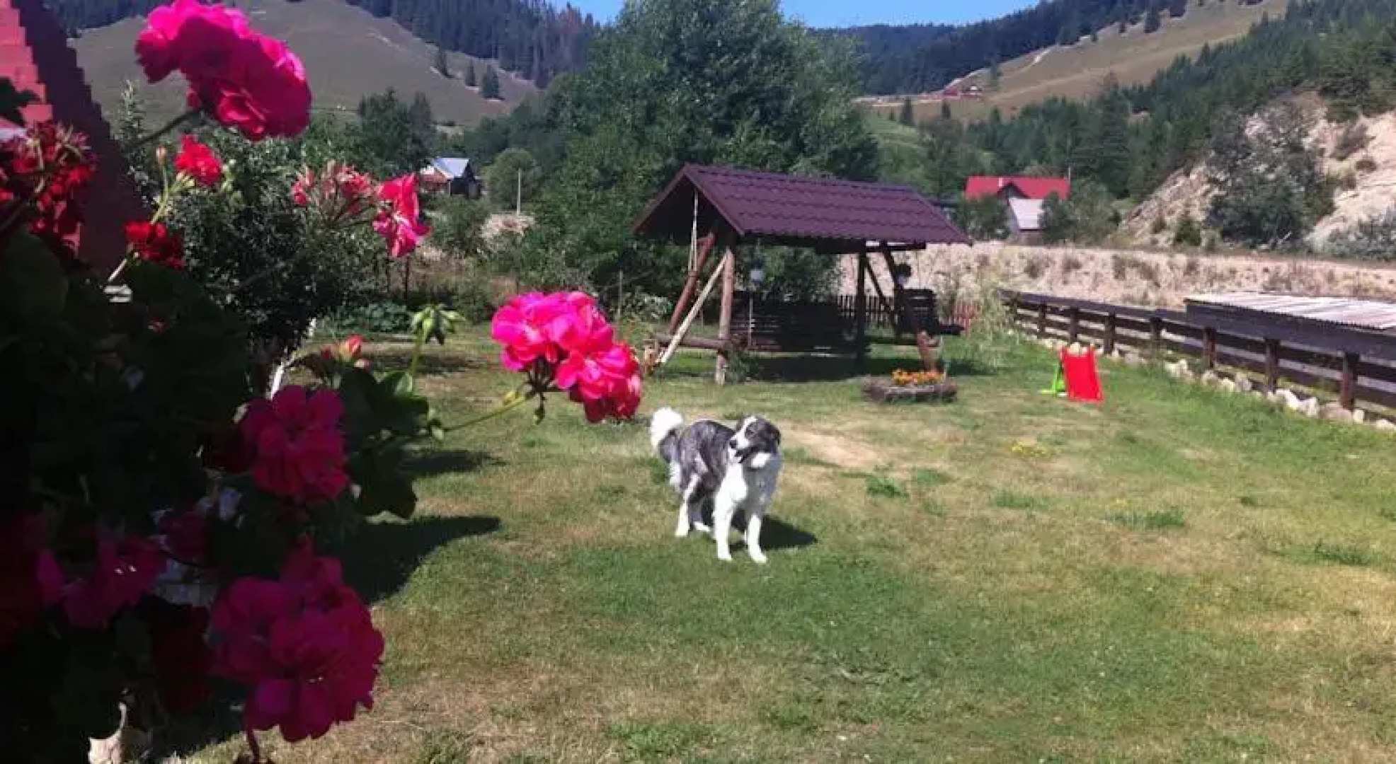 Bucovina Hills Guesthouse