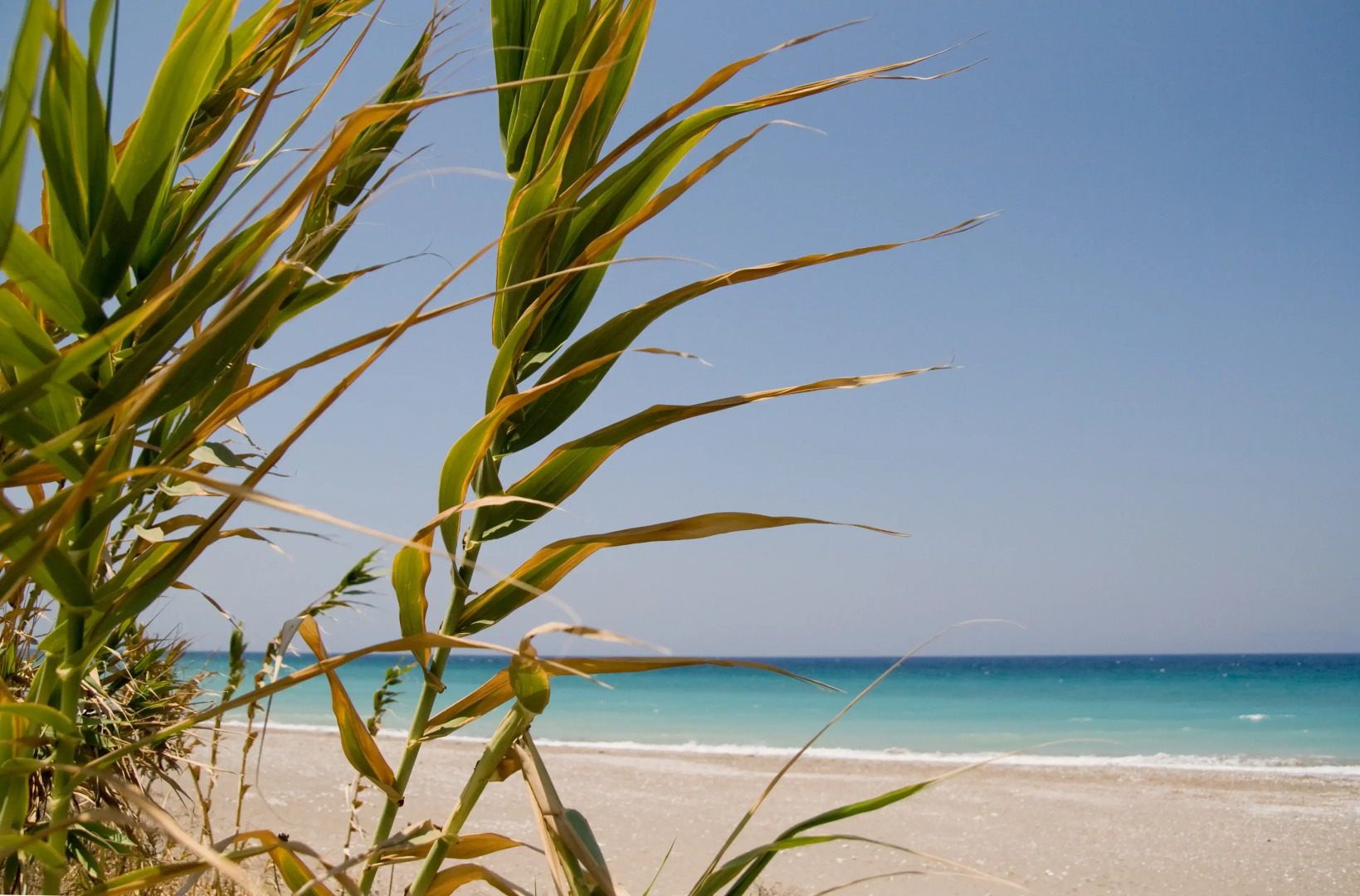 Asterias Bay-Theologos