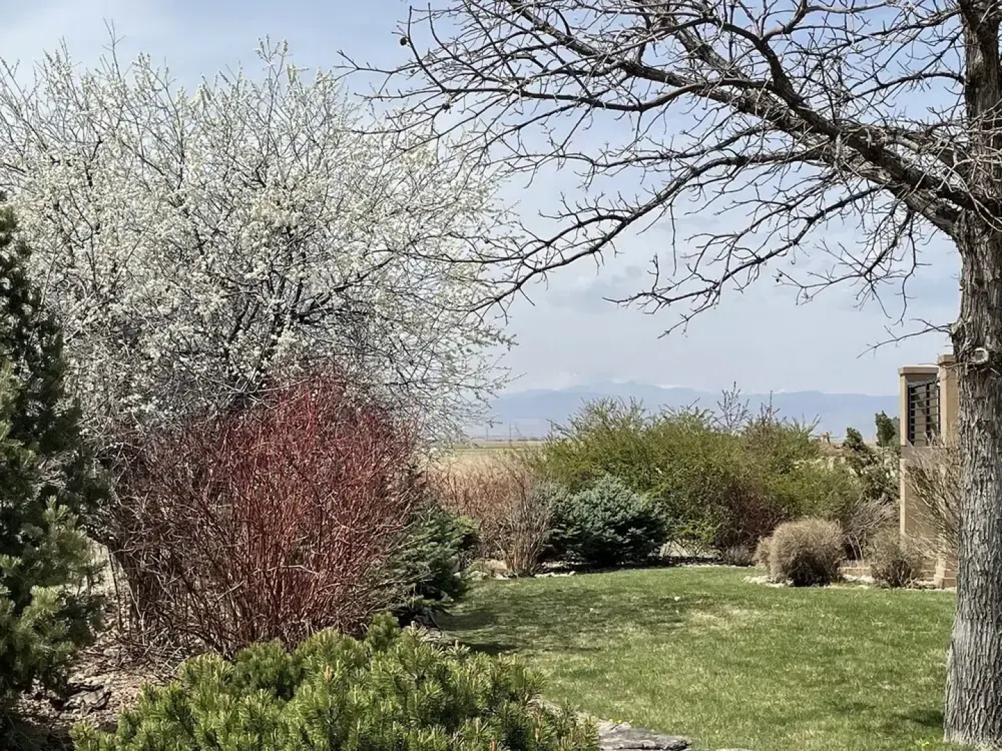 Llama-stay at Spooky Tooth Ranch – Mtn Views!!