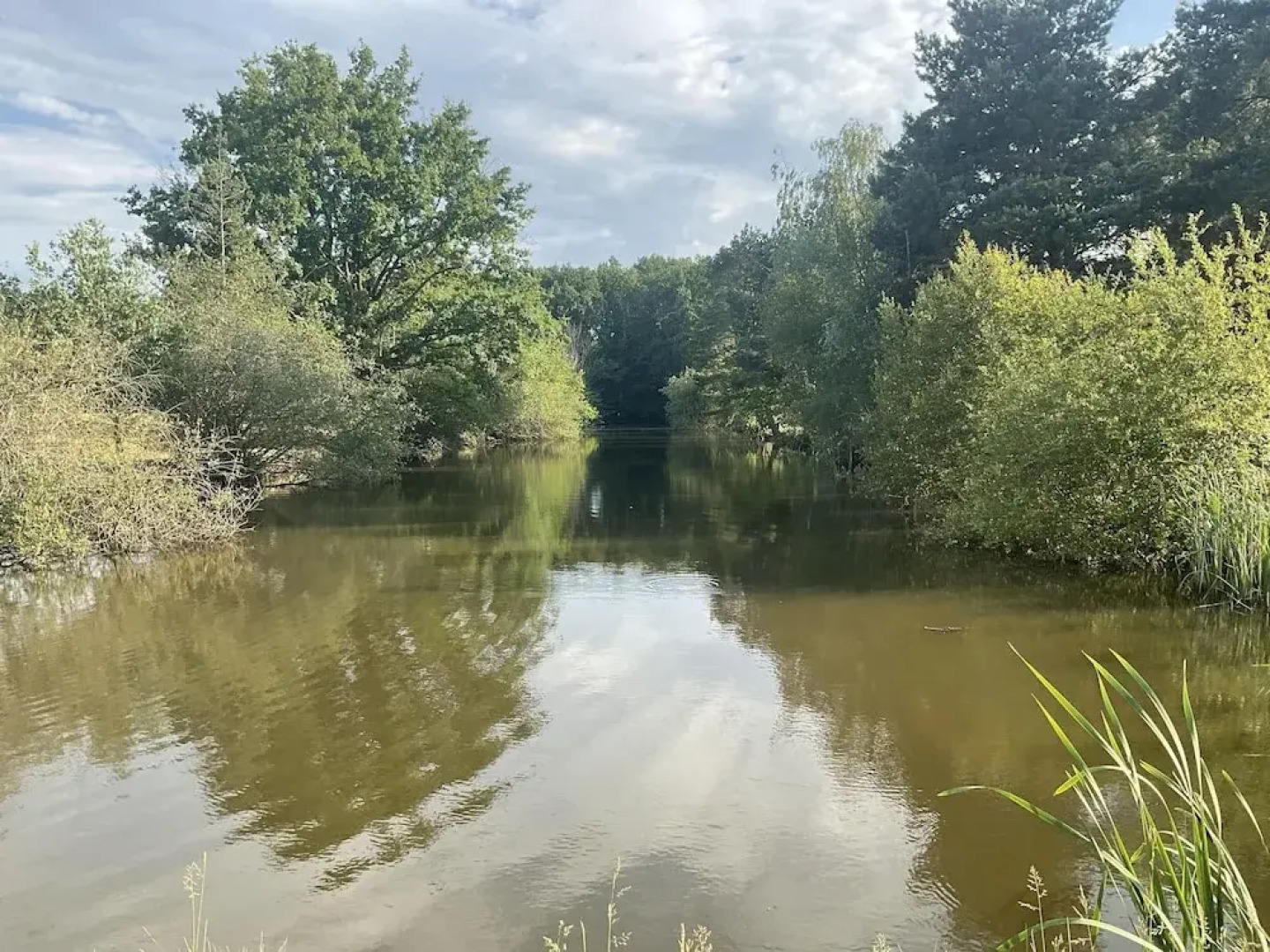 Chateau Tout Y Fault