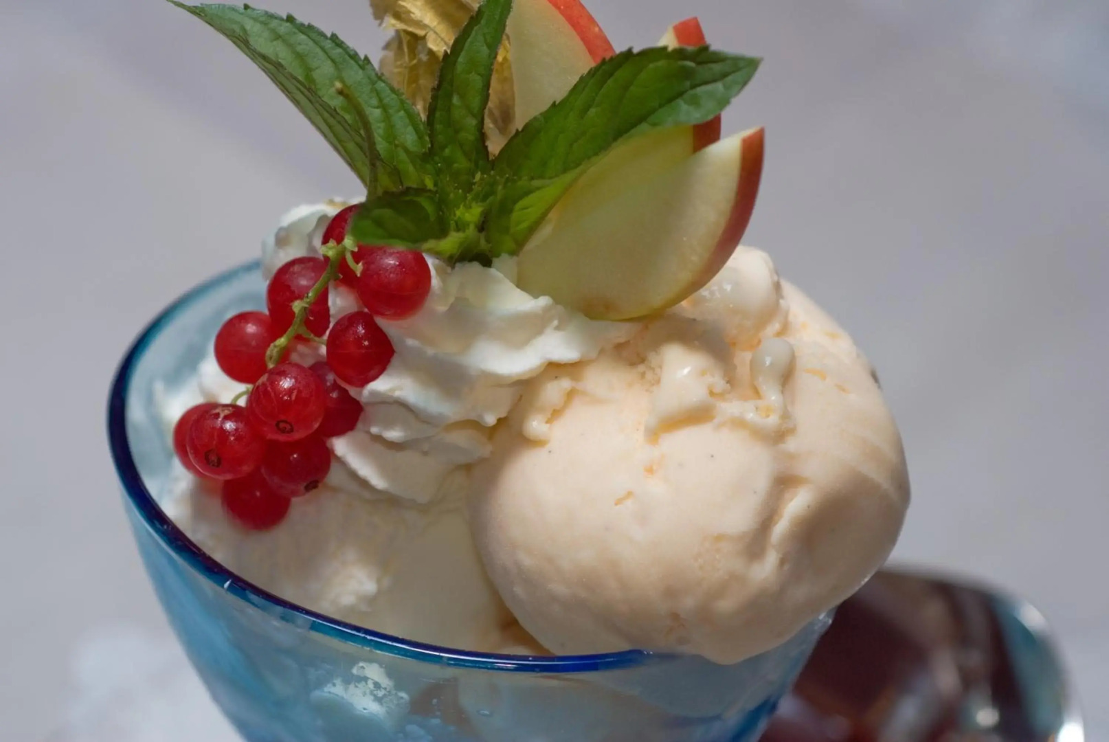 Hotel Restaurant Alpina