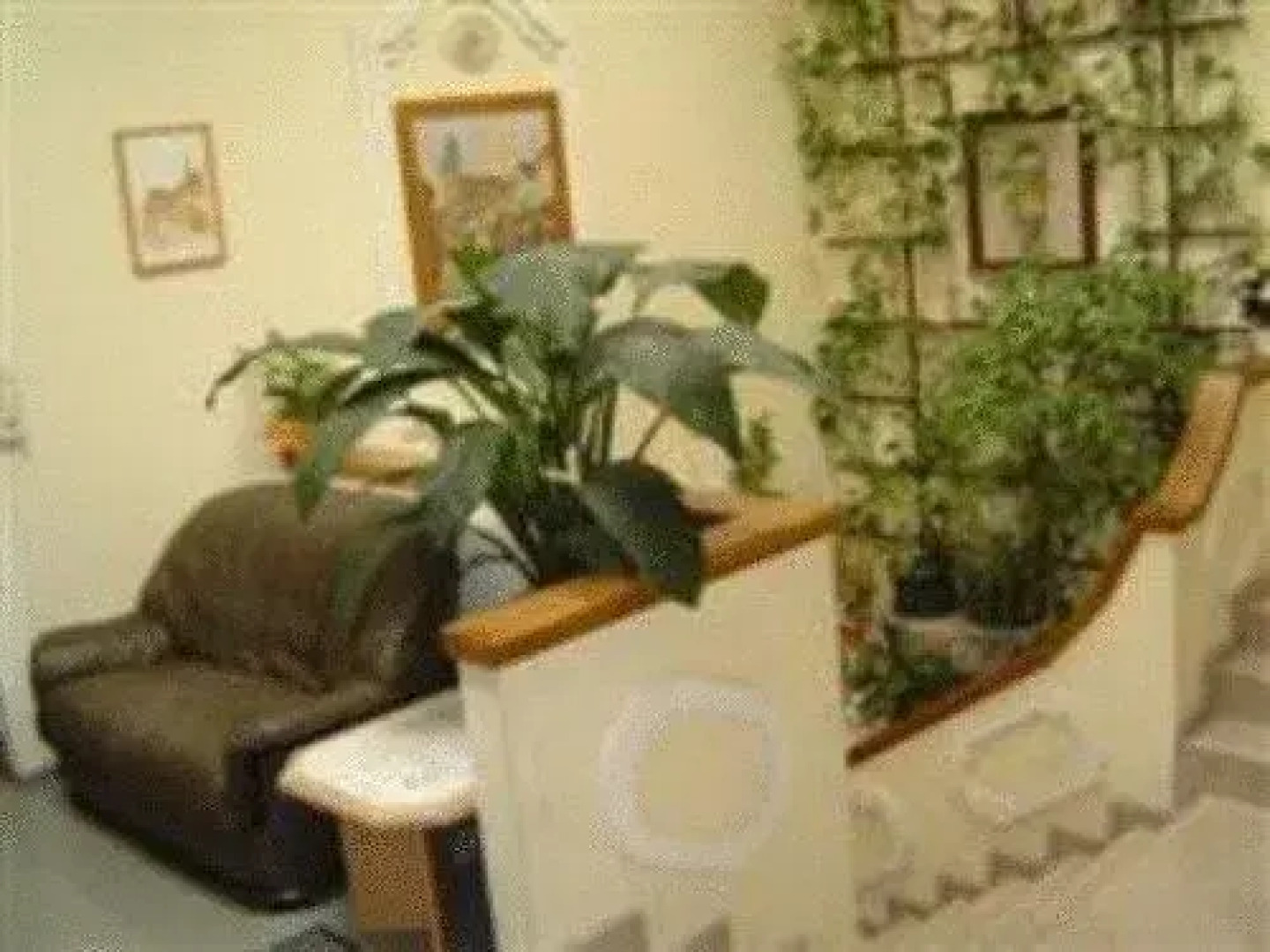 Gasthof zum Kirchenwirt