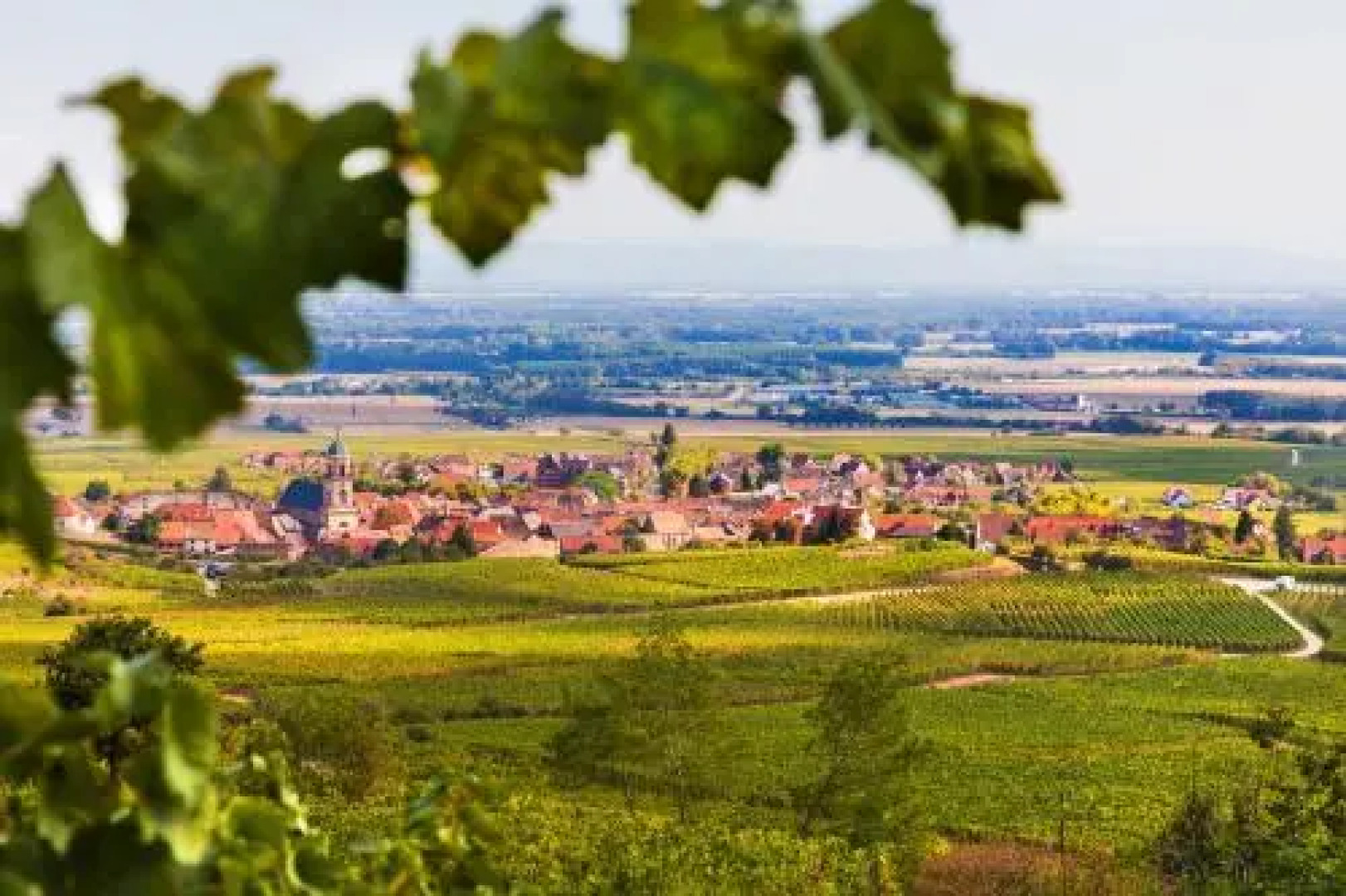 Domaine François Bléger