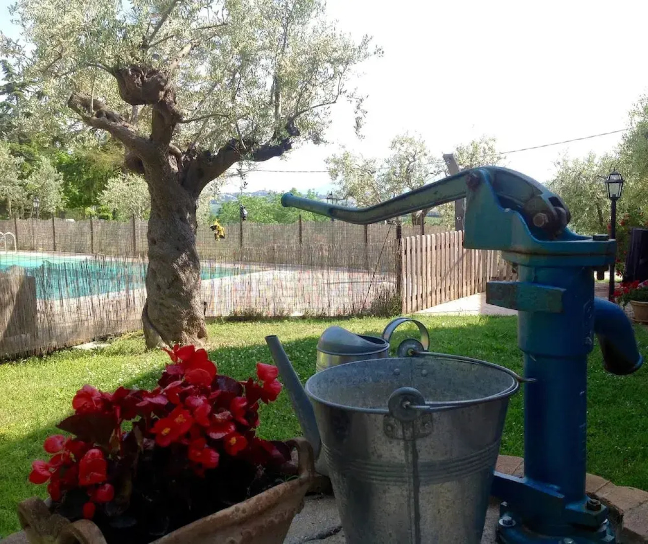 Agriturismo Terre Vineate