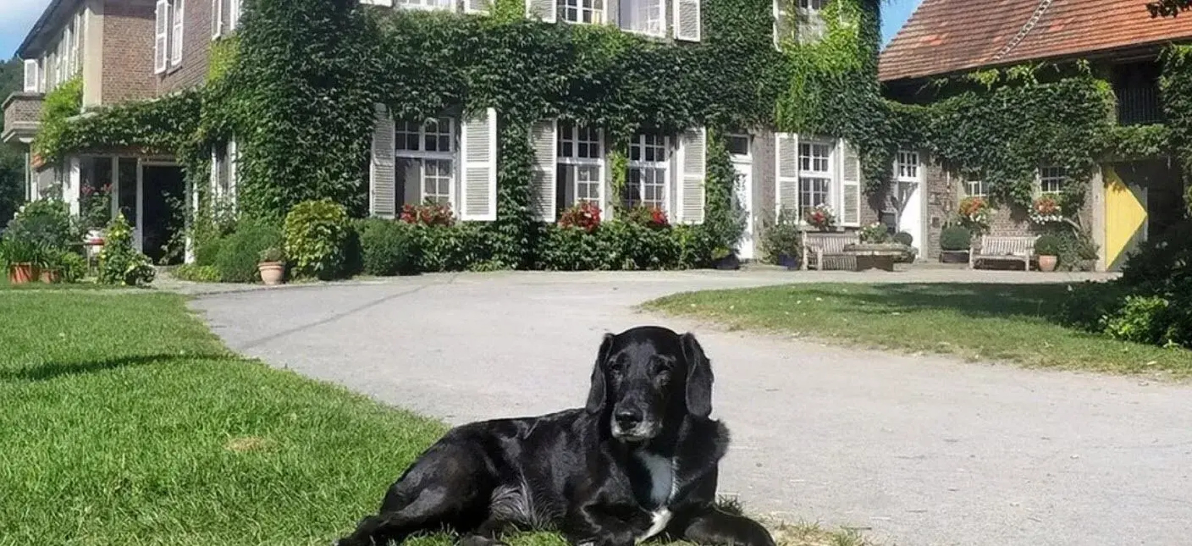 Ponyhof Georgenbruch