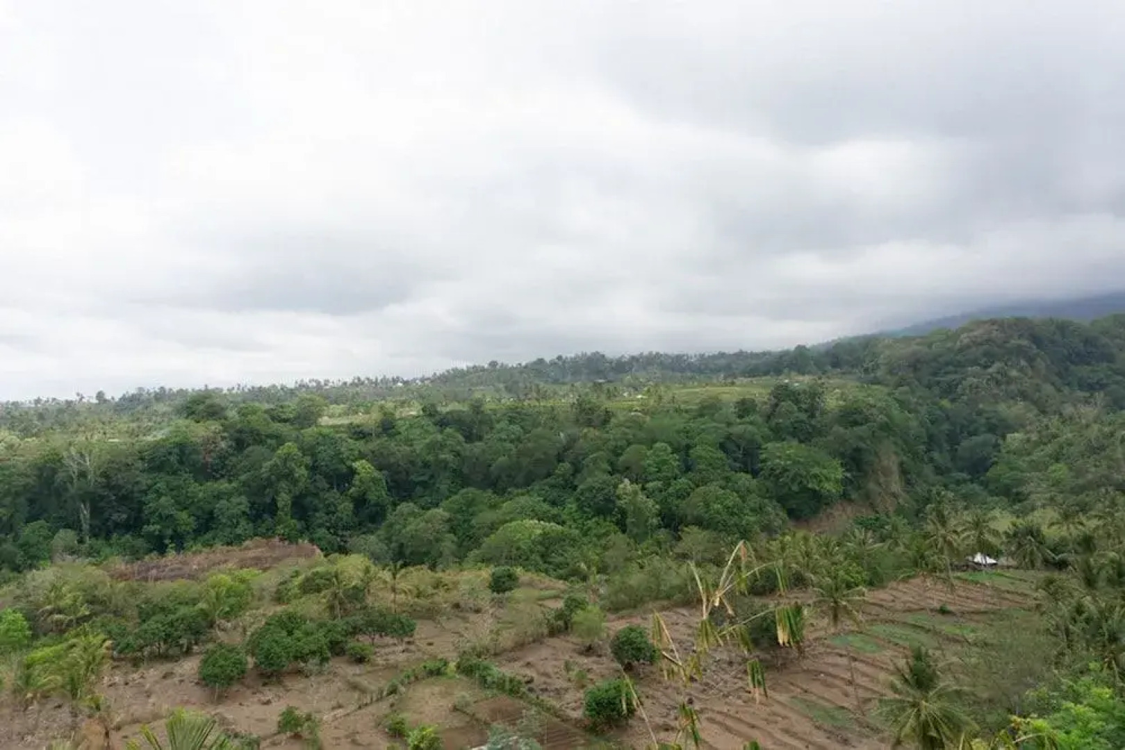 RedDoorz near Senaru Rinjani