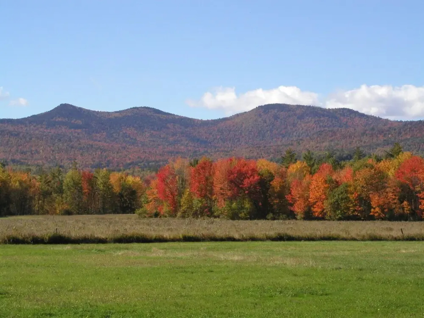 The Oxford House Inn