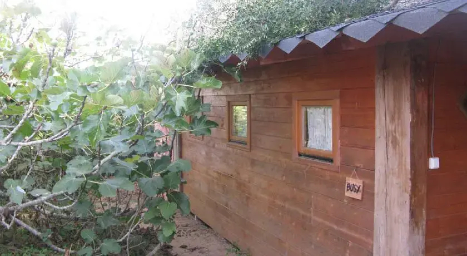 Surf N Sand Hostel