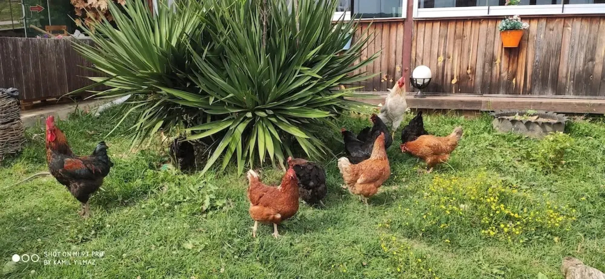 Yıldız Country Hotel