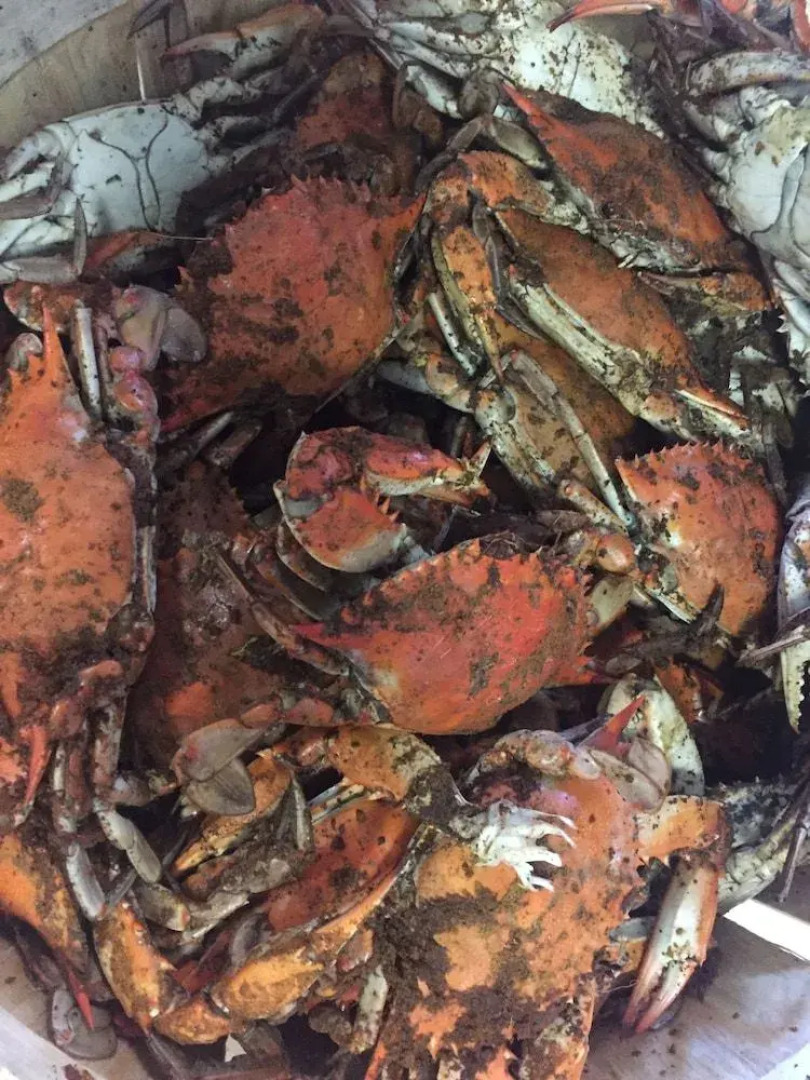 The Whitehaven Hotel