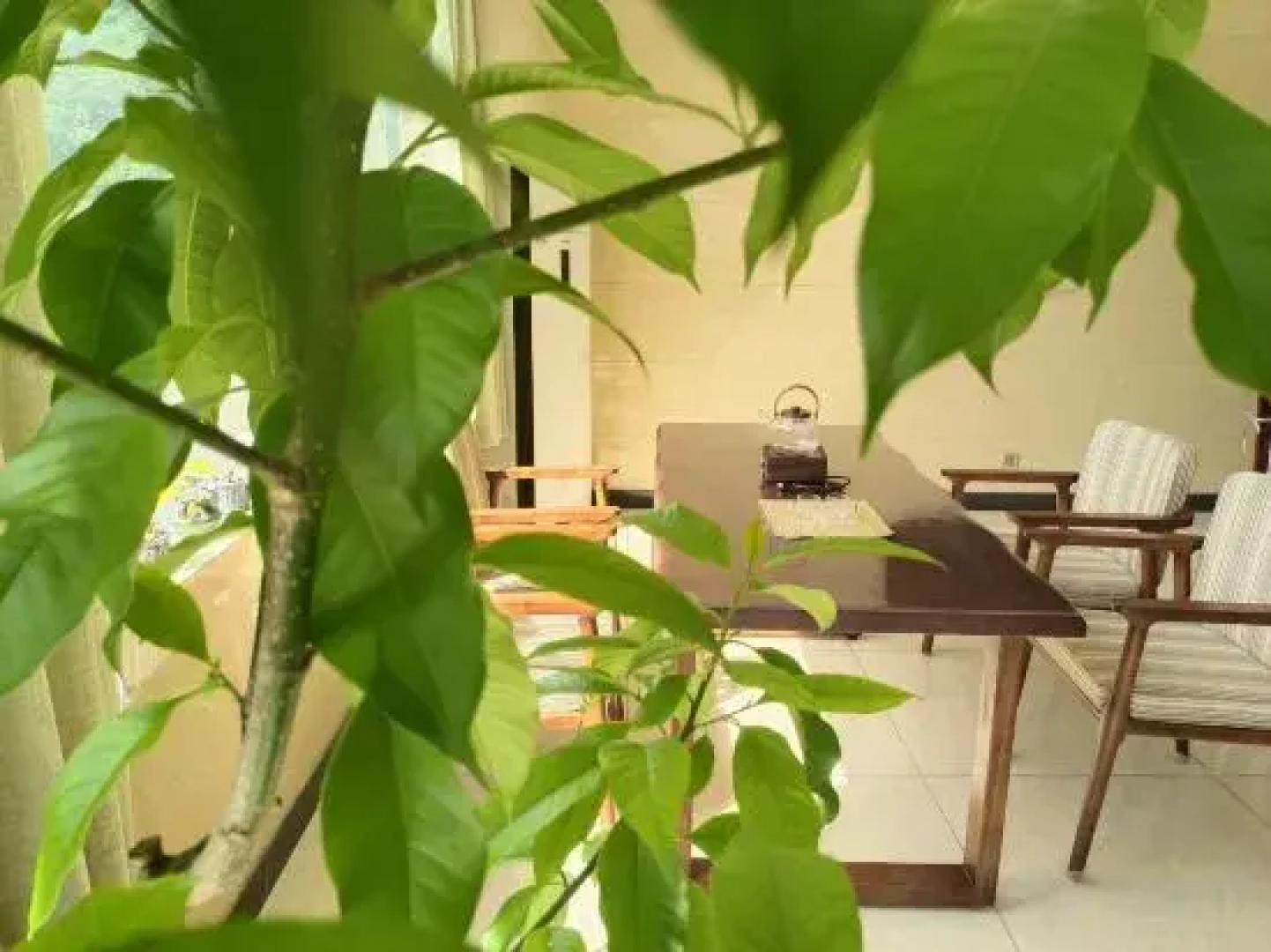 Huangshan Luojiaodian Inn