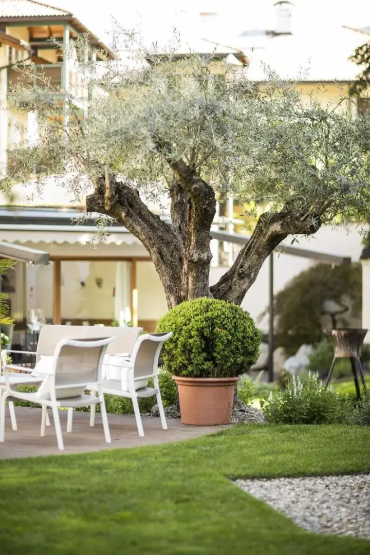 Boutique Hotel Zum Rosenbaum