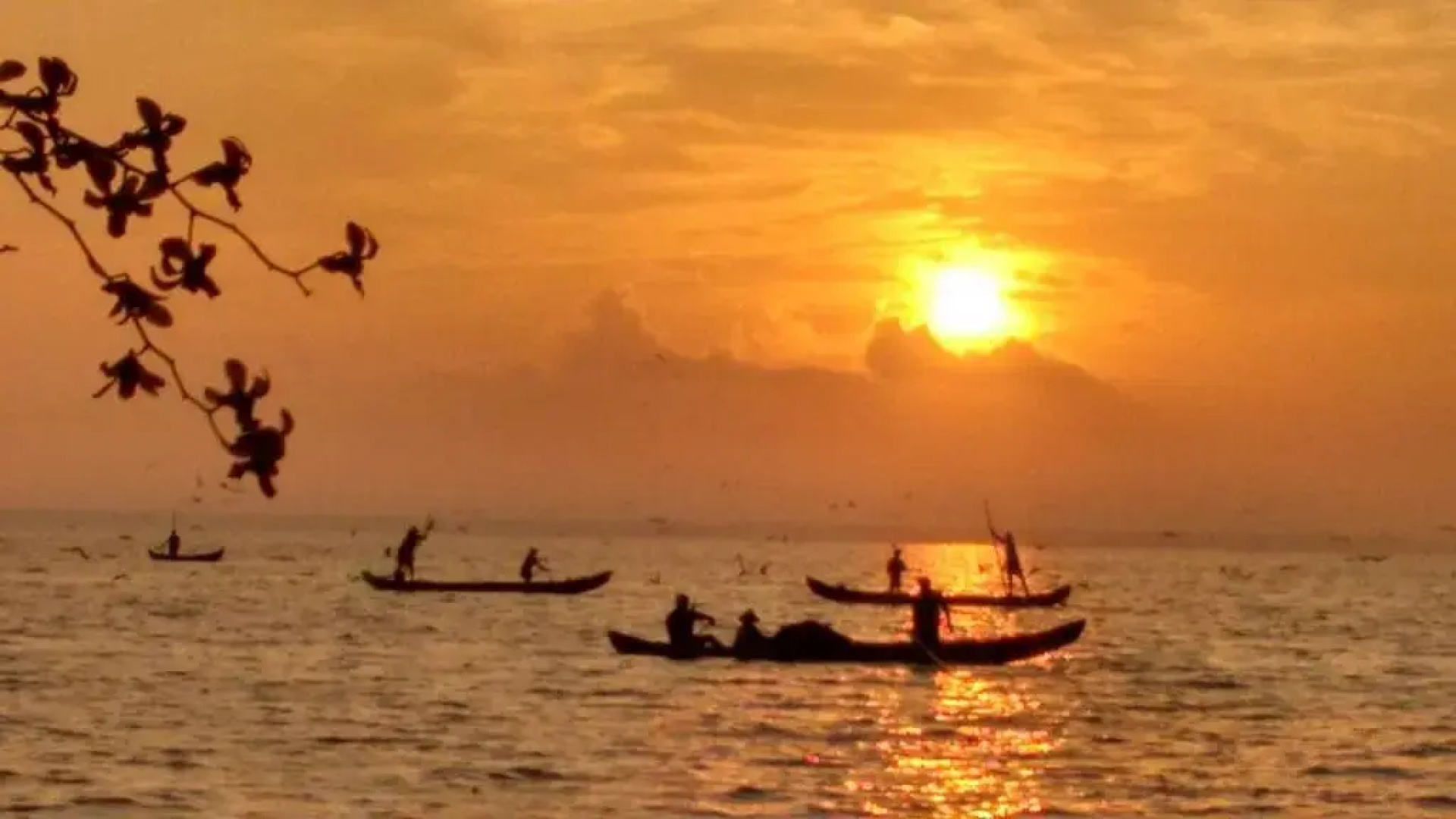 Vembanad House Boutique Back Water Homestay