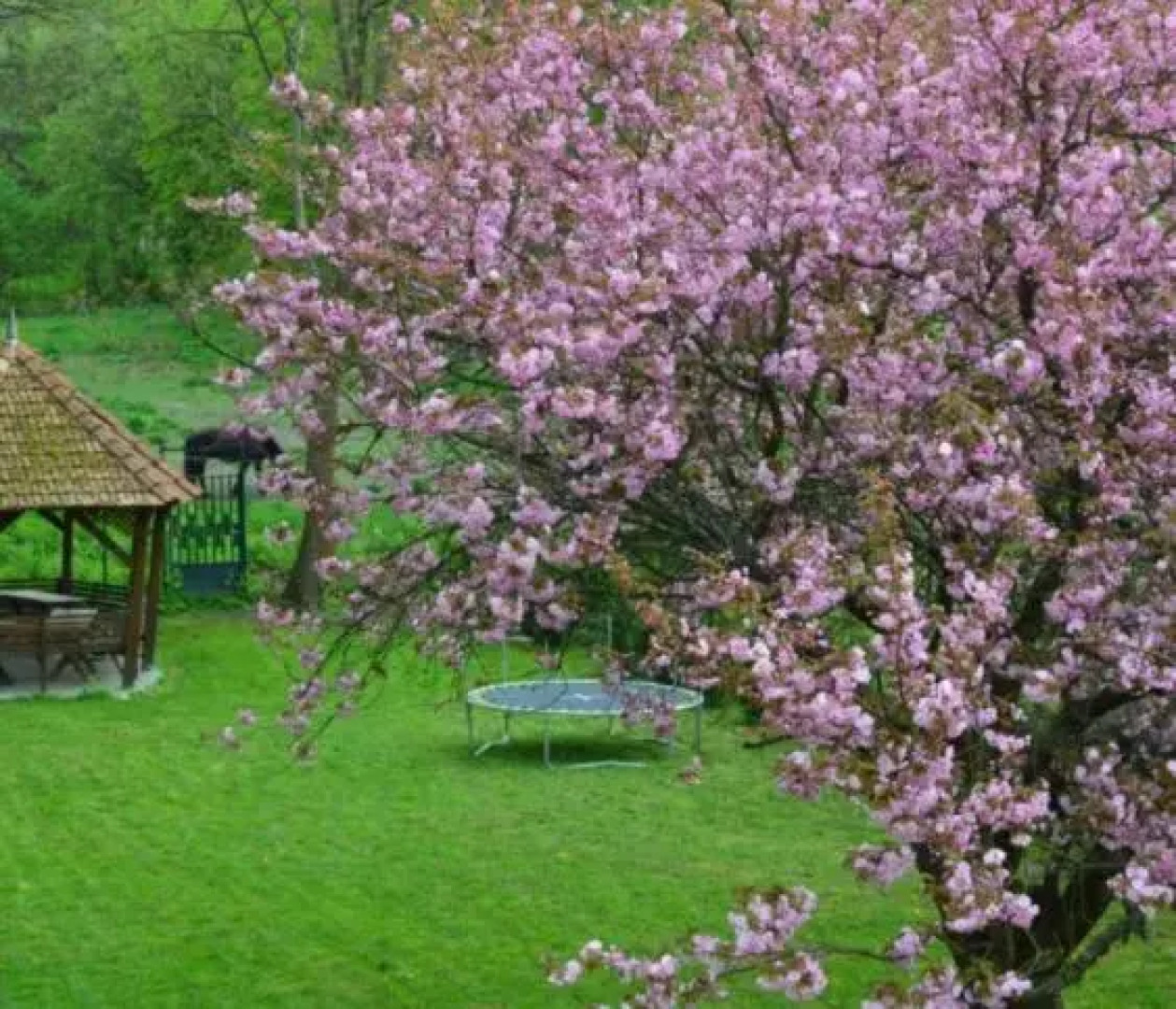 Shubu Zen Vendégház