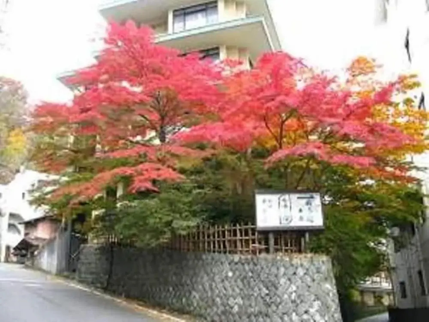 Yokotekan