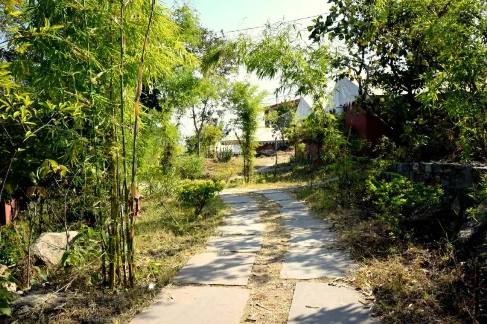 The Sky Imperial Jungle Camp Resort