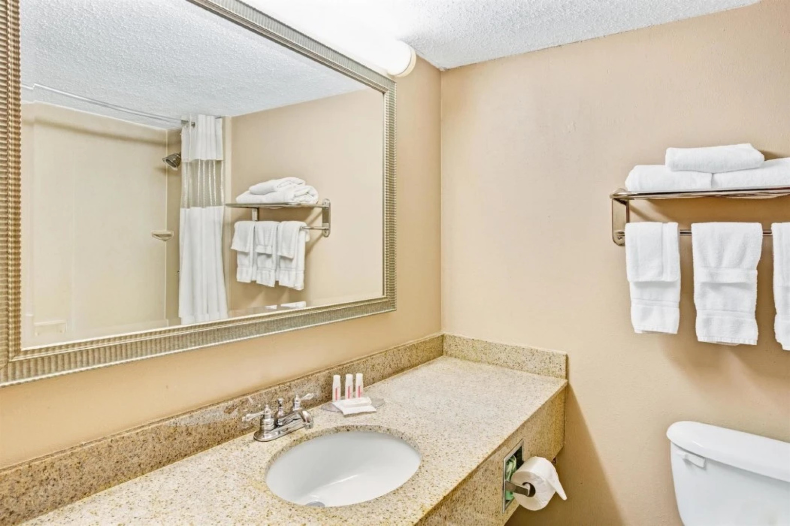 Holiday Inn Hotel Statesville-I-77 Exit 49a