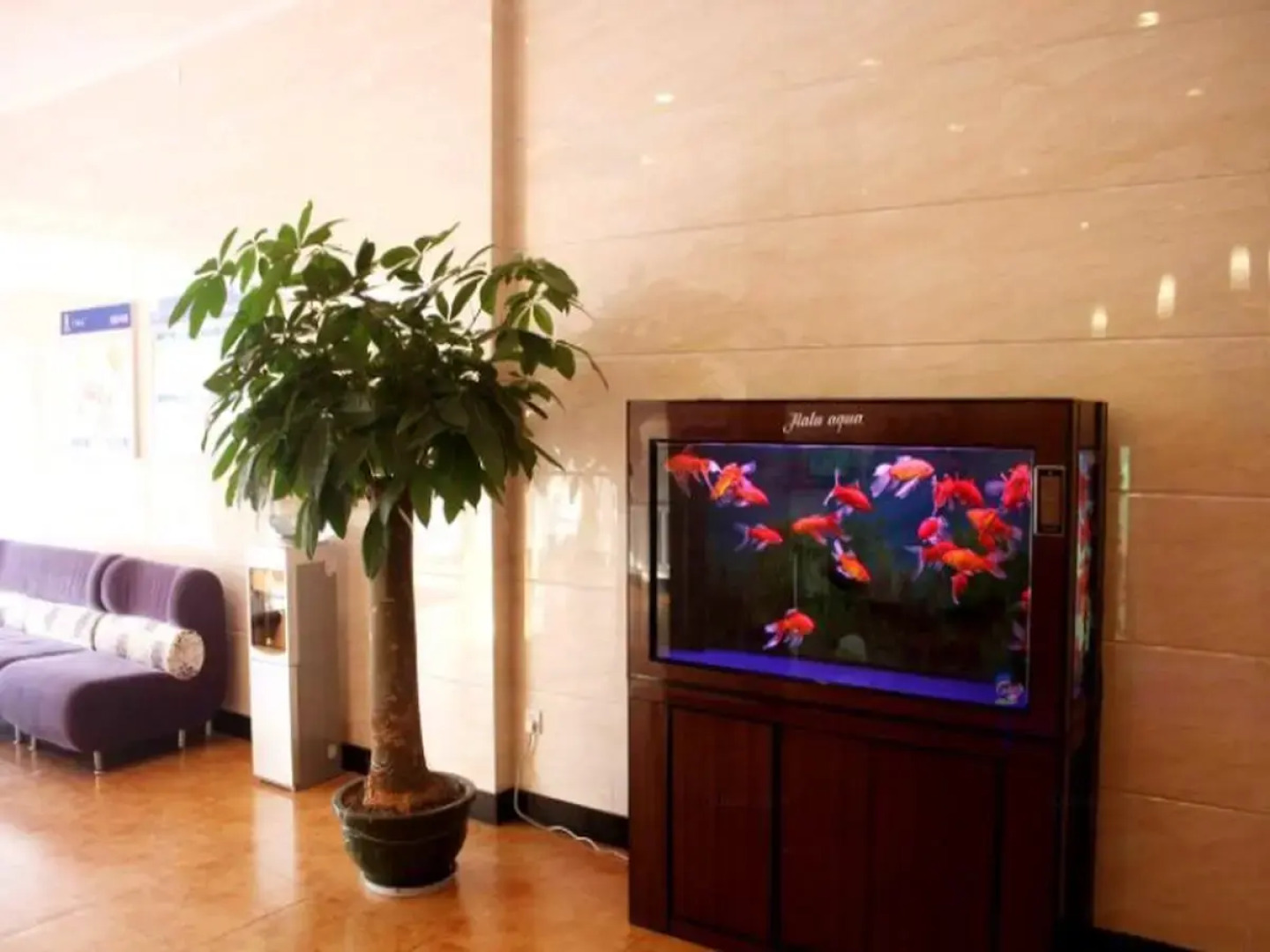 7 Days Inn Chenzhou Guiyang Ouyanghai Street Branch